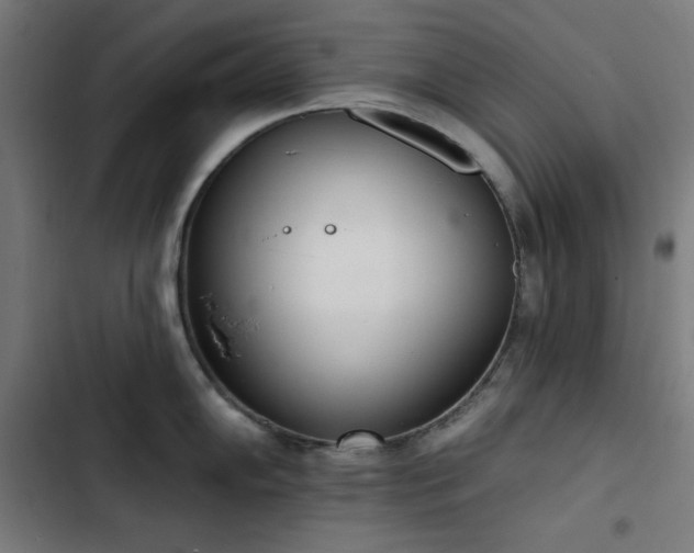 X0000103401102200809121236