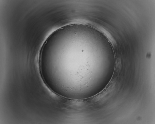 X0000103401103200809121236