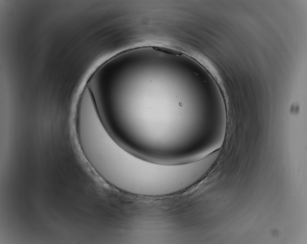 X0000103401104200809121236