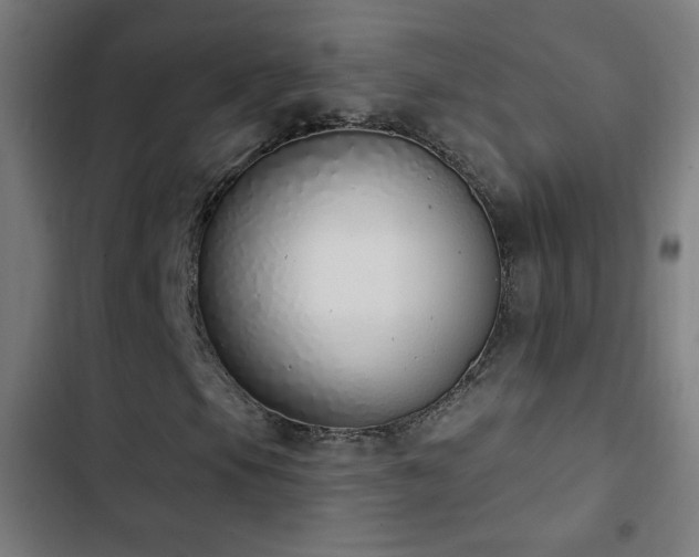 X0000103401105200809121236