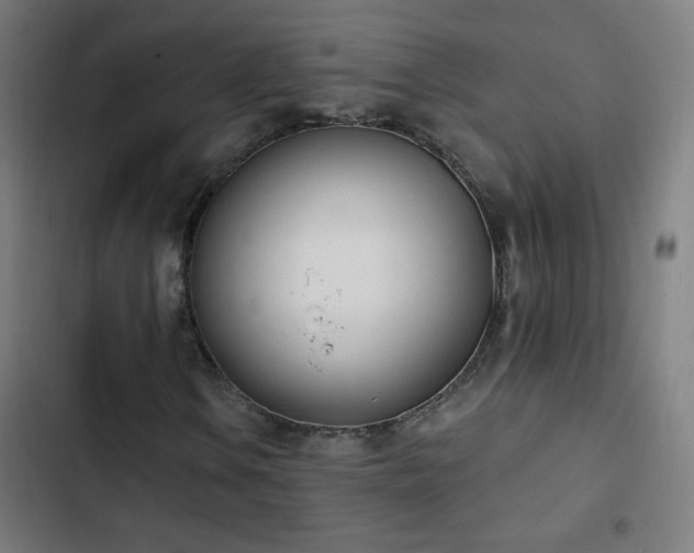 X0000103401106200809121236