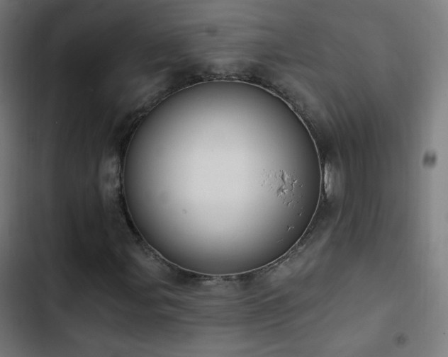 X0000103401107200809121236