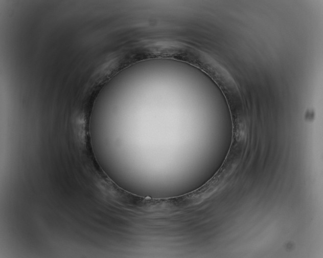 X0000103401108200809121236