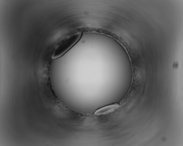 X0000103401110200809121236