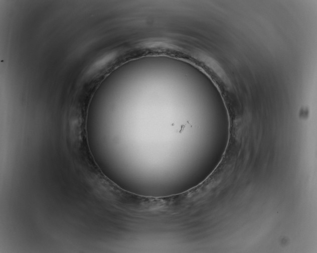 X0000103401111200809121236