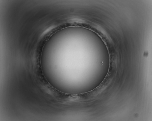 X0000103401112200809121236