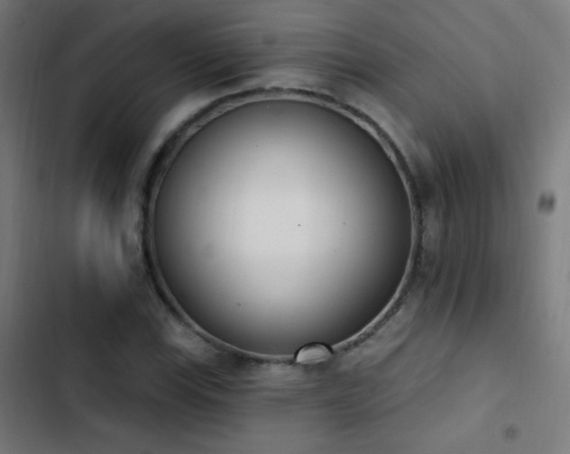 X0000103401115200809121236