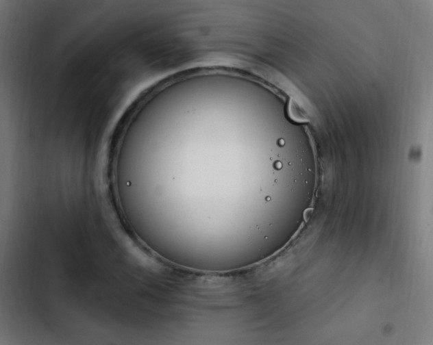 X0000103401116200809121236
