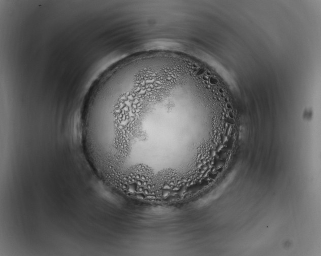 X0000103401117200809121236