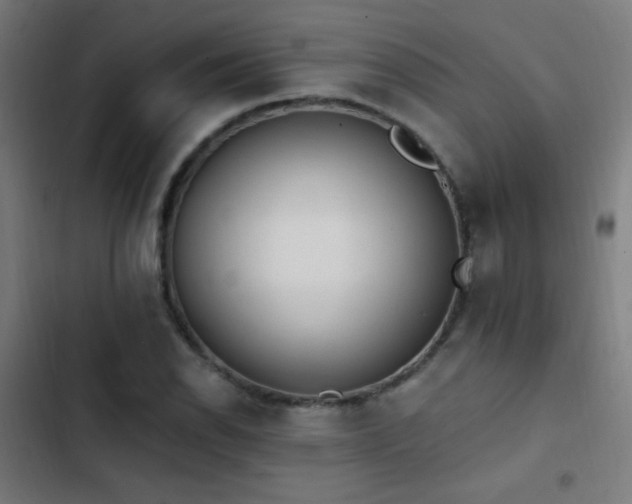 X0000103401118200809121236