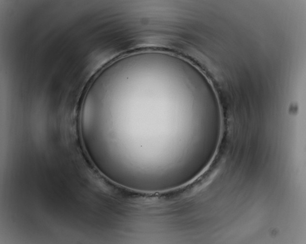 X0000103401121200809121236