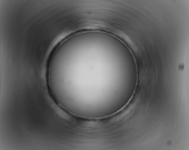 X0000103401122200809121236