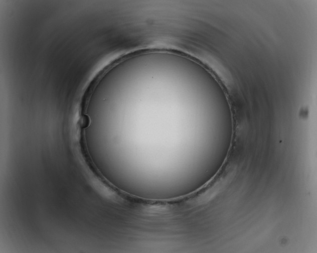 X0000103401126200809121236
