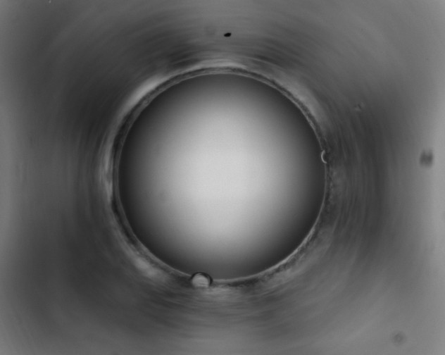 X0000103401127200809121236