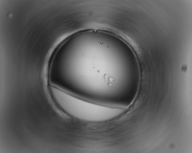 X0000103401128200809121236