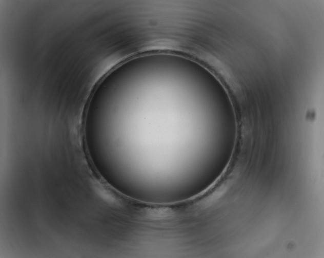 X0000103401129200809121236