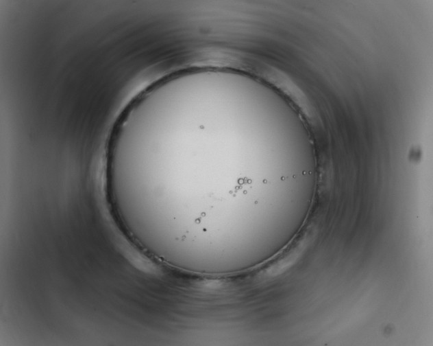 X0000103401130200809121236