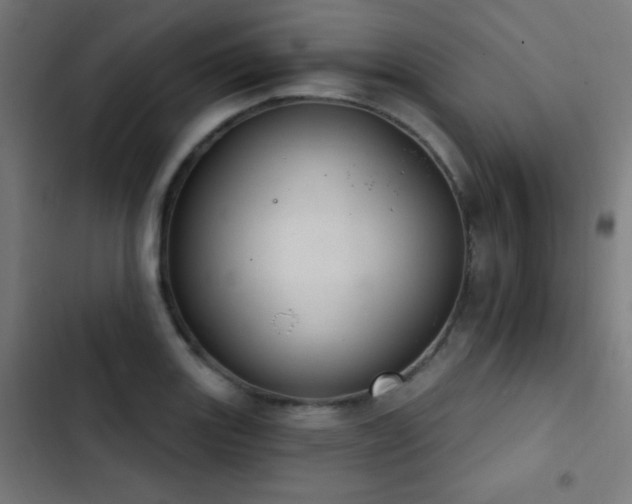 X0000103401131200809121236