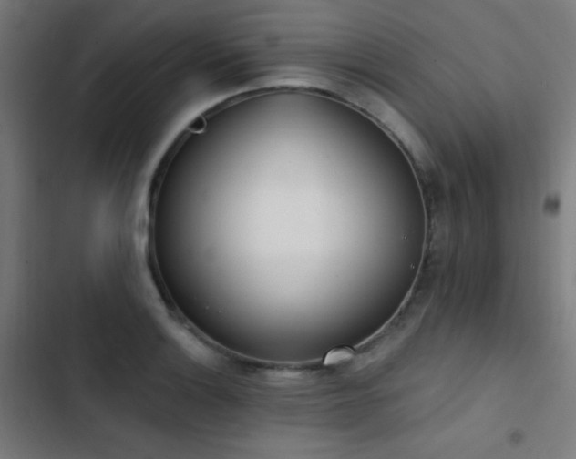 X0000103401132200809121236
