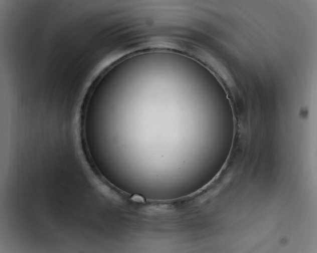 X0000103401133200809121236