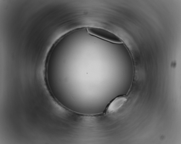 X0000103401136200809121236