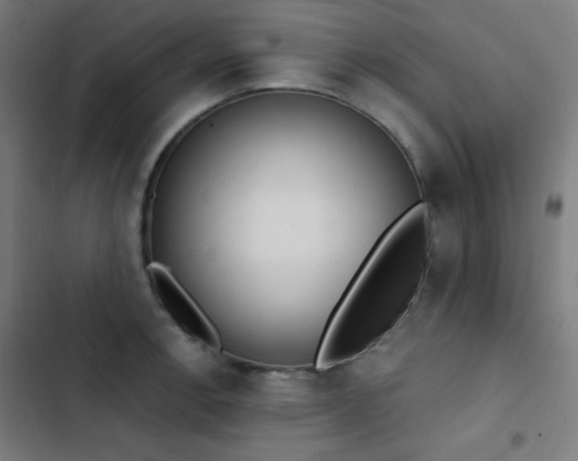 X0000103401138200809121236