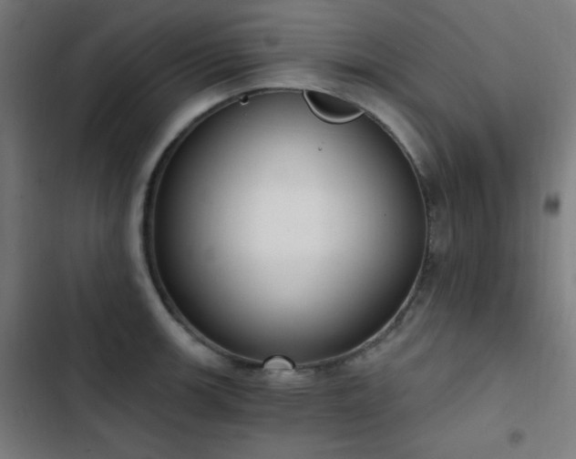 X0000103401139200809121236