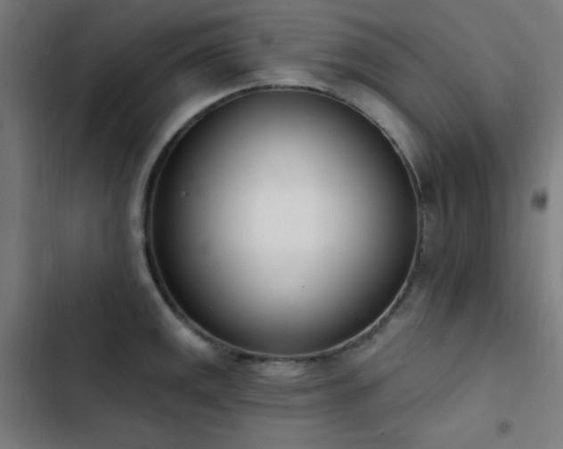 X0000103401141200809121236