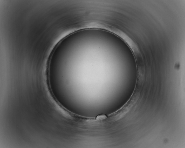 X0000103401142200809121236