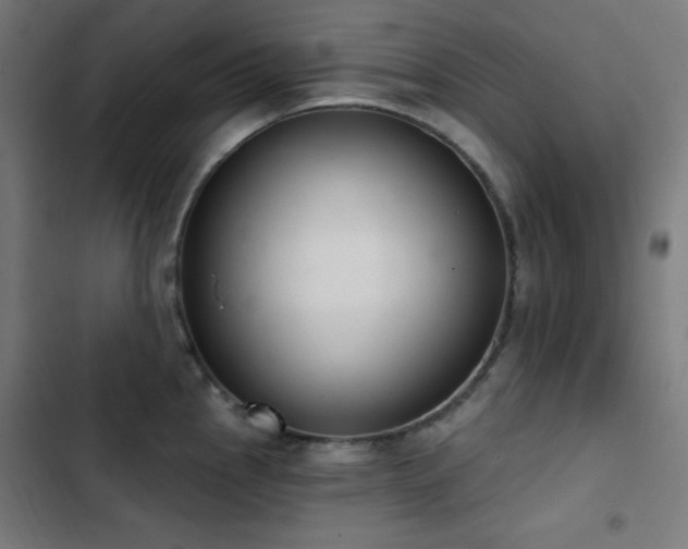 X0000103401145200809121236