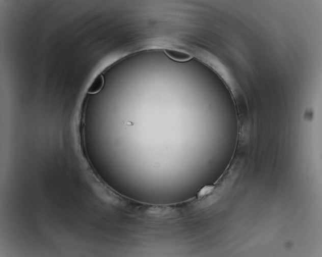 X0000103401146200809121236