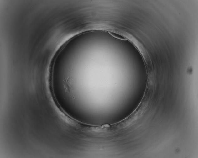 X0000103401147200809121236