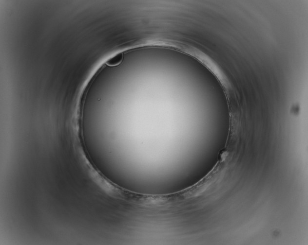 X0000103401148200809121236