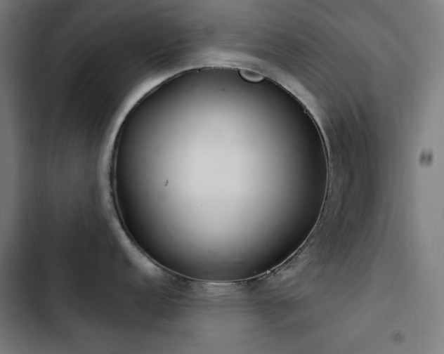 X0000103401152200809121236
