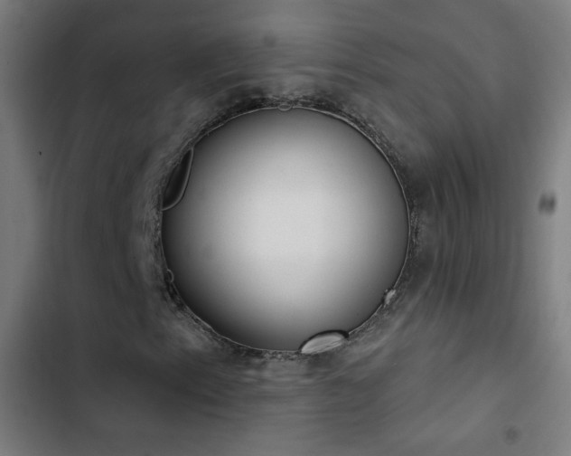 X0000103401153200809121236