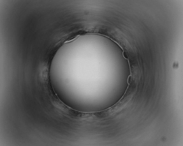 X0000103401154200809121236