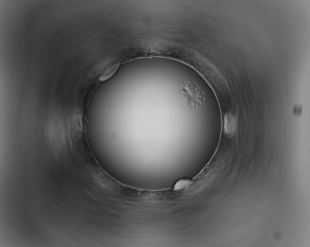 X0000103401155200809121236