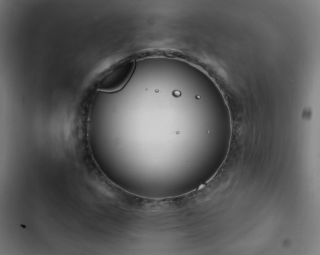 X0000103401159200809121235