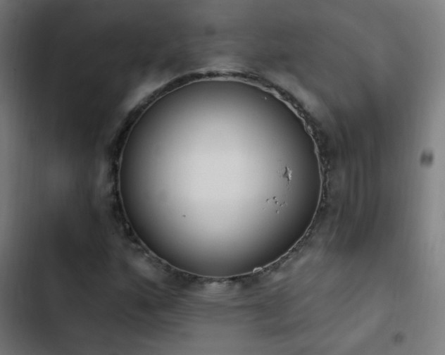 X0000103401160200809121235