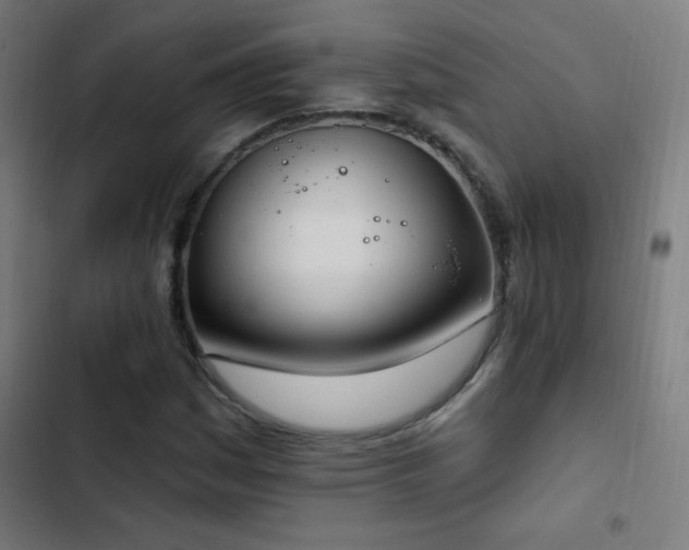 X0000103401161200809121235