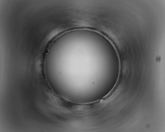 X0000103401163200809121235