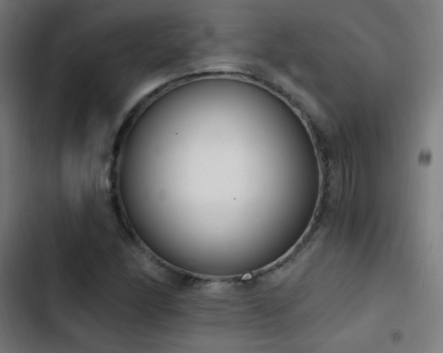 X0000103401166200809121235