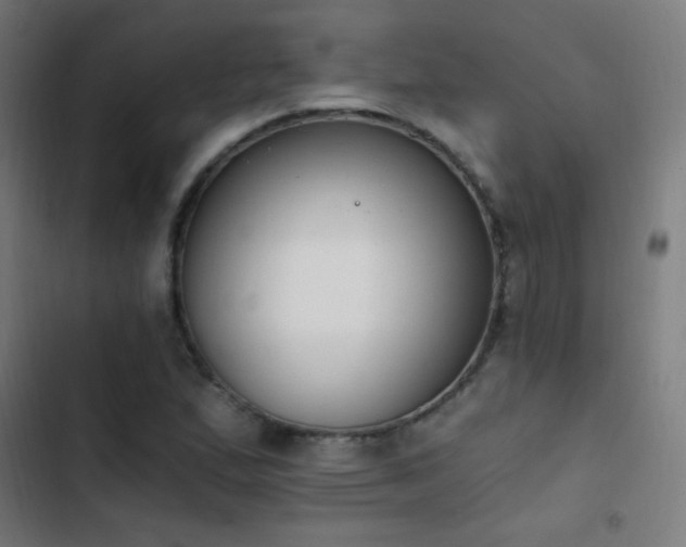 X0000103401167200809121235