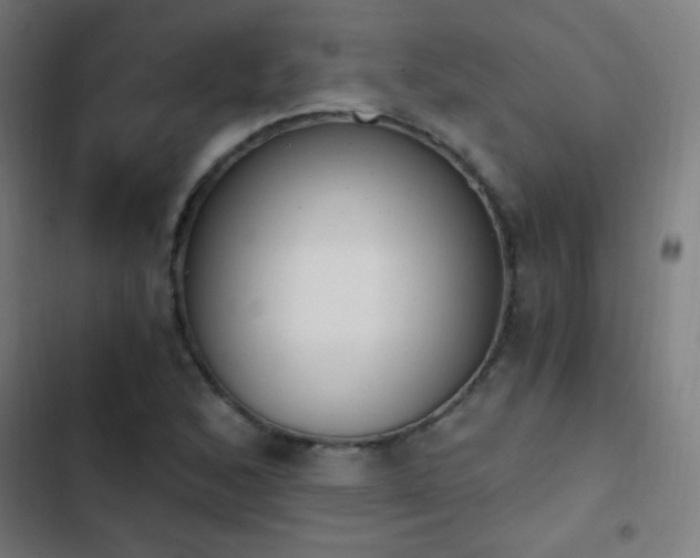 X0000103401168200809121235
