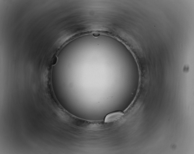 X0000103401169200809121235