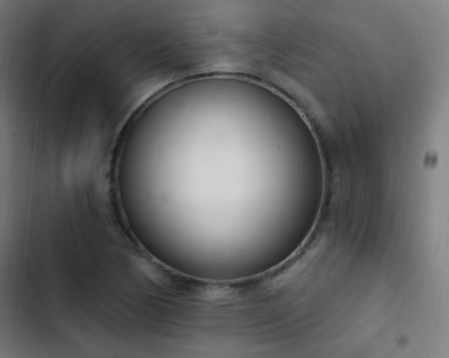 X0000103401170200809121235