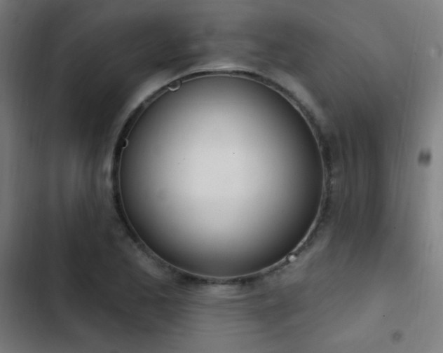 X0000103401173200809121235