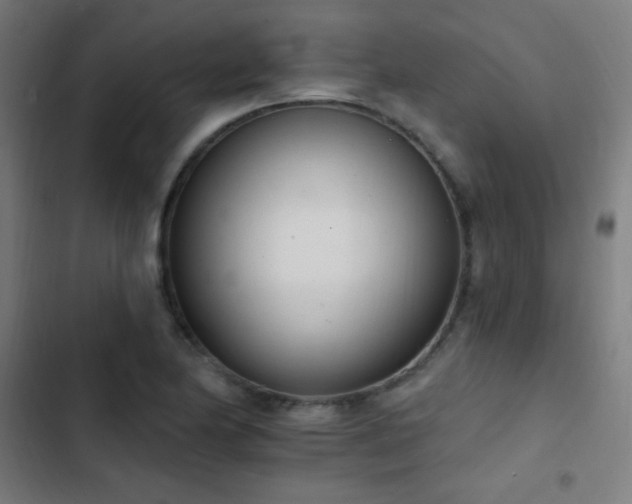X0000103401174200809121235