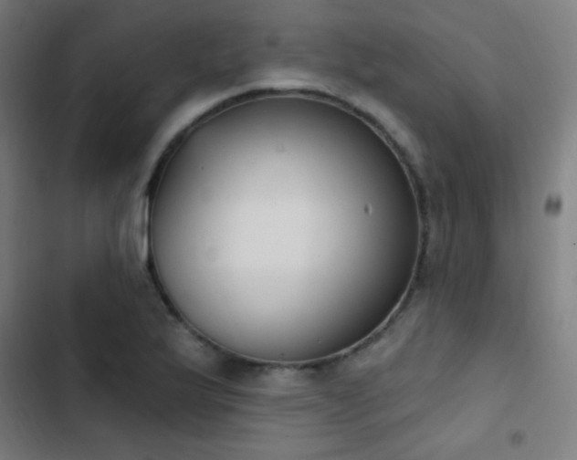 X0000103401175200809121235