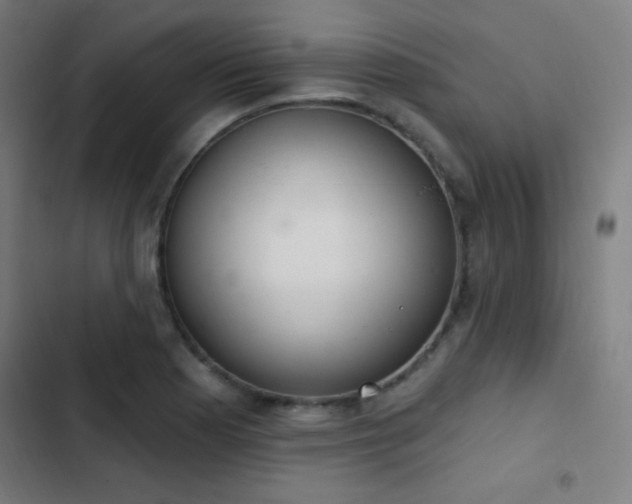 X0000103401177200809121235